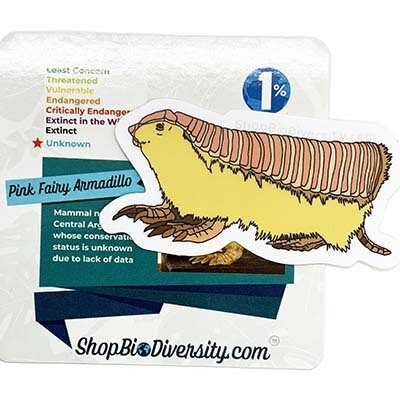 Pink Fairy Armadillo, sticker BOGJ236