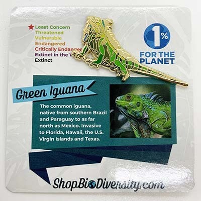 Green Iguana, pin BOGJ252