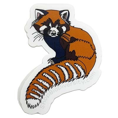 Red Panda, sticker BOGJ238