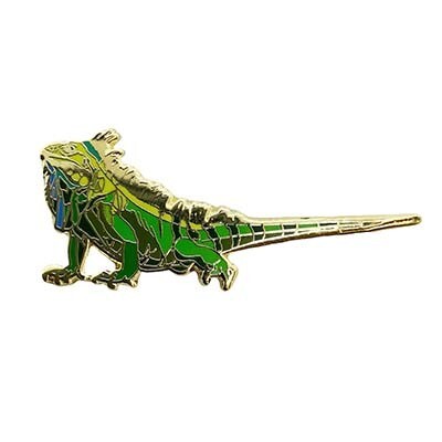 Green Iguana, pin BOGJ252
