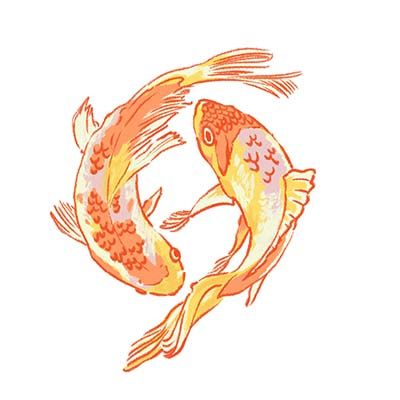 Koi Fish, temporary tattoo BARS01