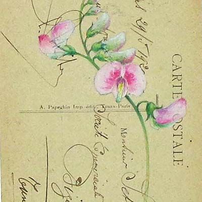 Botanical Postcard 3, watercolor on vintage postcard ENDE198