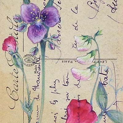 Botanical Postcard 2, watercolor on vintage postcard ENDE197