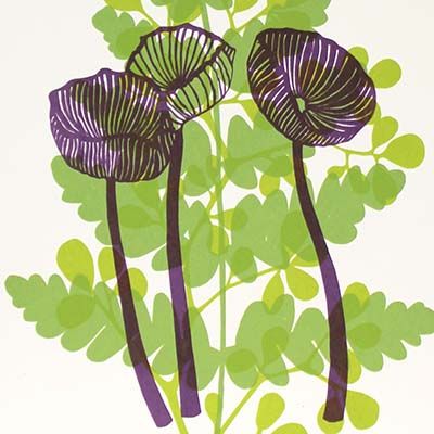 Untitled 4/4, silk screen print BURR178