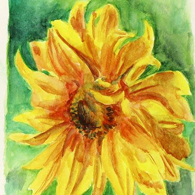 Sunflower, original art postcard BOWE12