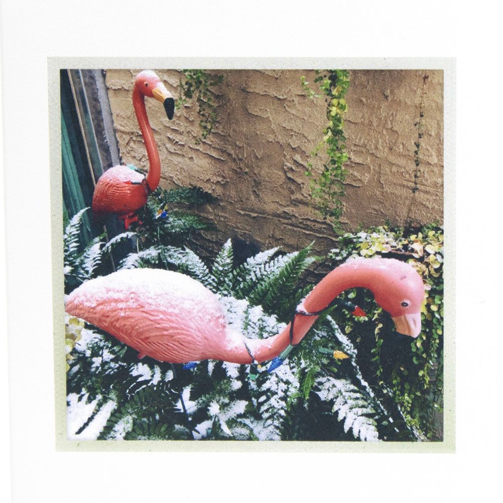Flocked in Philly, holiday card set BURR181