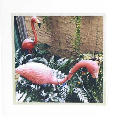 Flocked in Philly, holiday card set BURR181