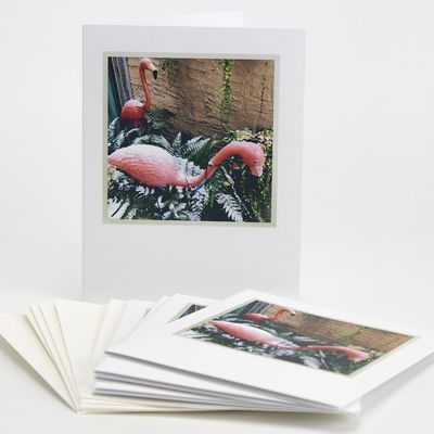 Flocked in Philly, holiday card set BURR181
