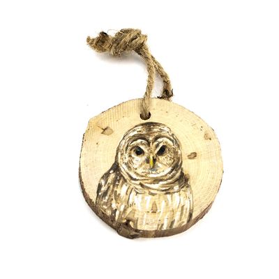 Owl, wood ornament BARJ169