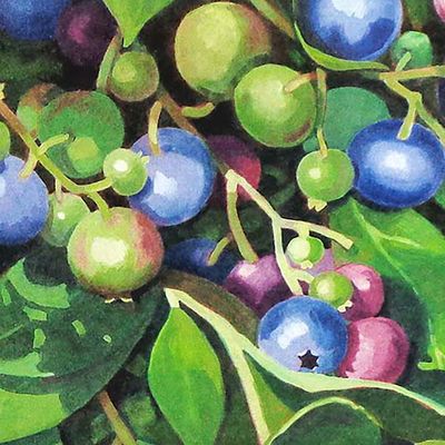 Blueberries, archival print MILE128