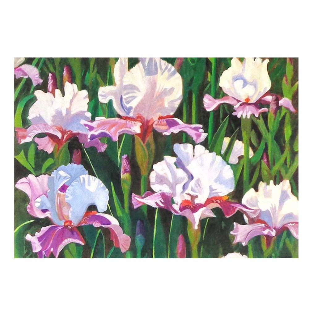 Iris Field, archival print MILE130