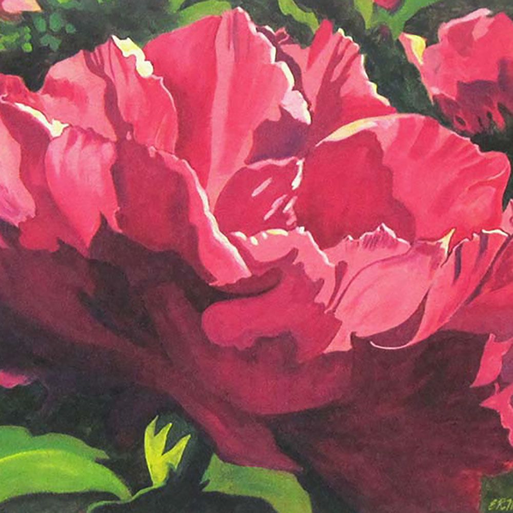 Pink Peony, large archival print MILE134