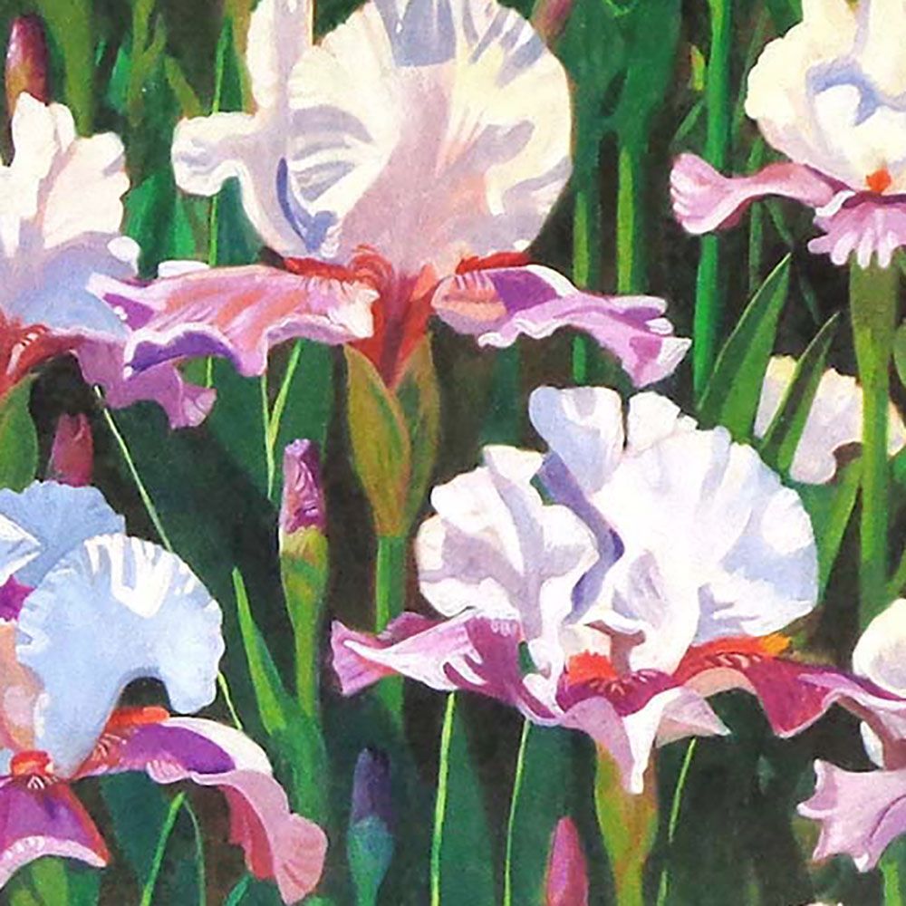 Iris Field, large archival print MILE132
