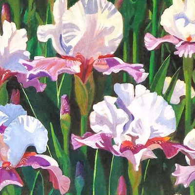 Iris Field, large archival print MILE132