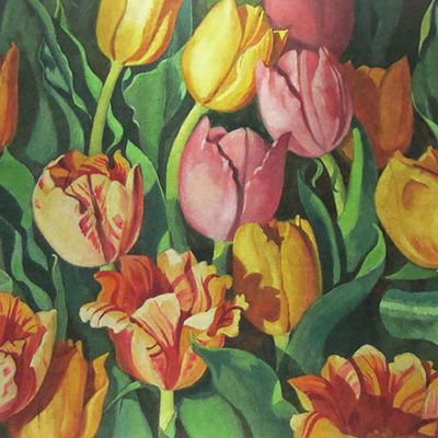 Tulip Festival, card MILE138