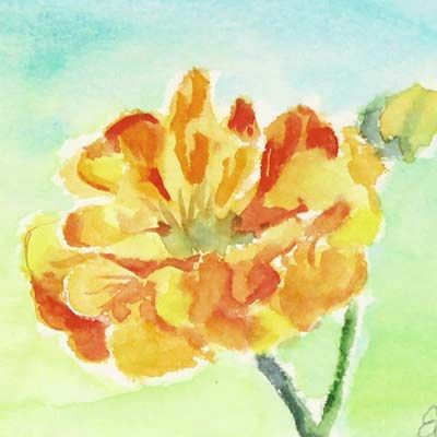 Orange Flower, mini watercolor BOWE25
