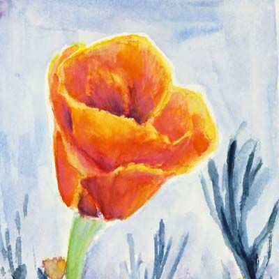 Poppy with Purple, original art postcard BOWE33