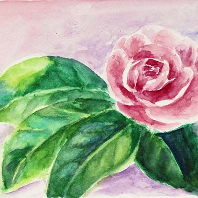 Rose, original art postcard BOWE29