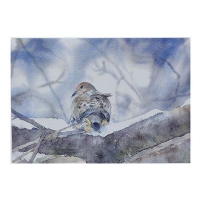 Snowy Mourning Dove (C52), card KRUP62