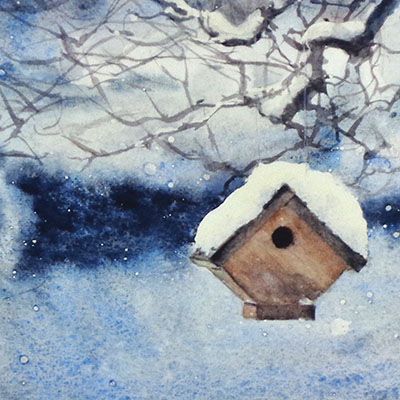 Winter Wren House, card KRUP58