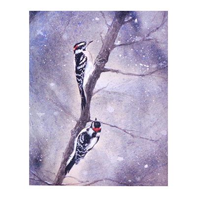 Downy Woodpeckers in the Snow, card KRUP57