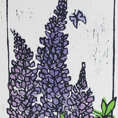 Lupine, card ARMK053
