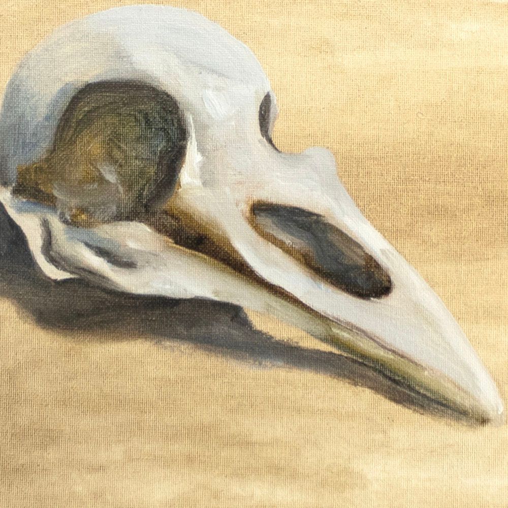 Skull, oil on canvas board VELN12