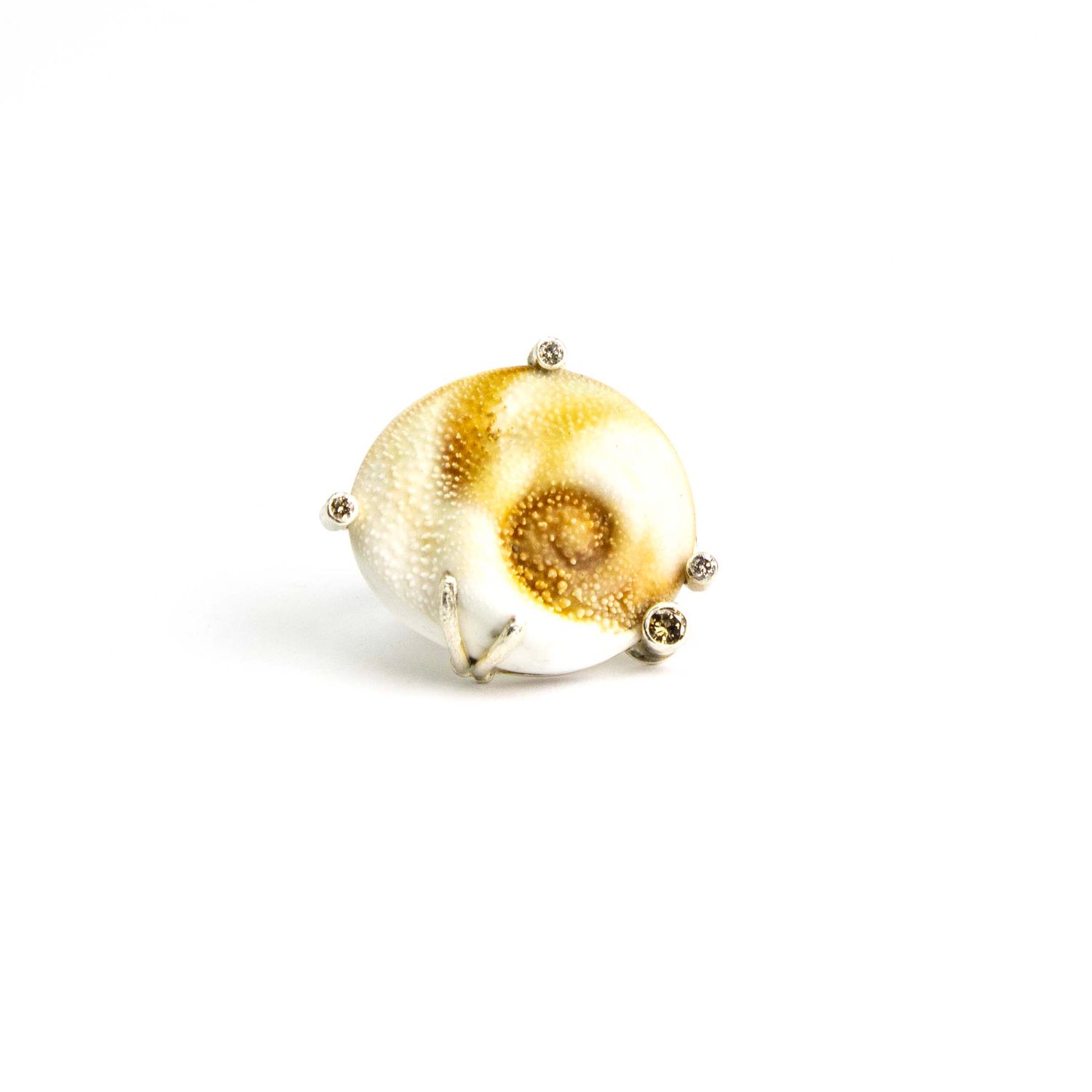 Turban Shell Ring, size 6.5 BRYH652