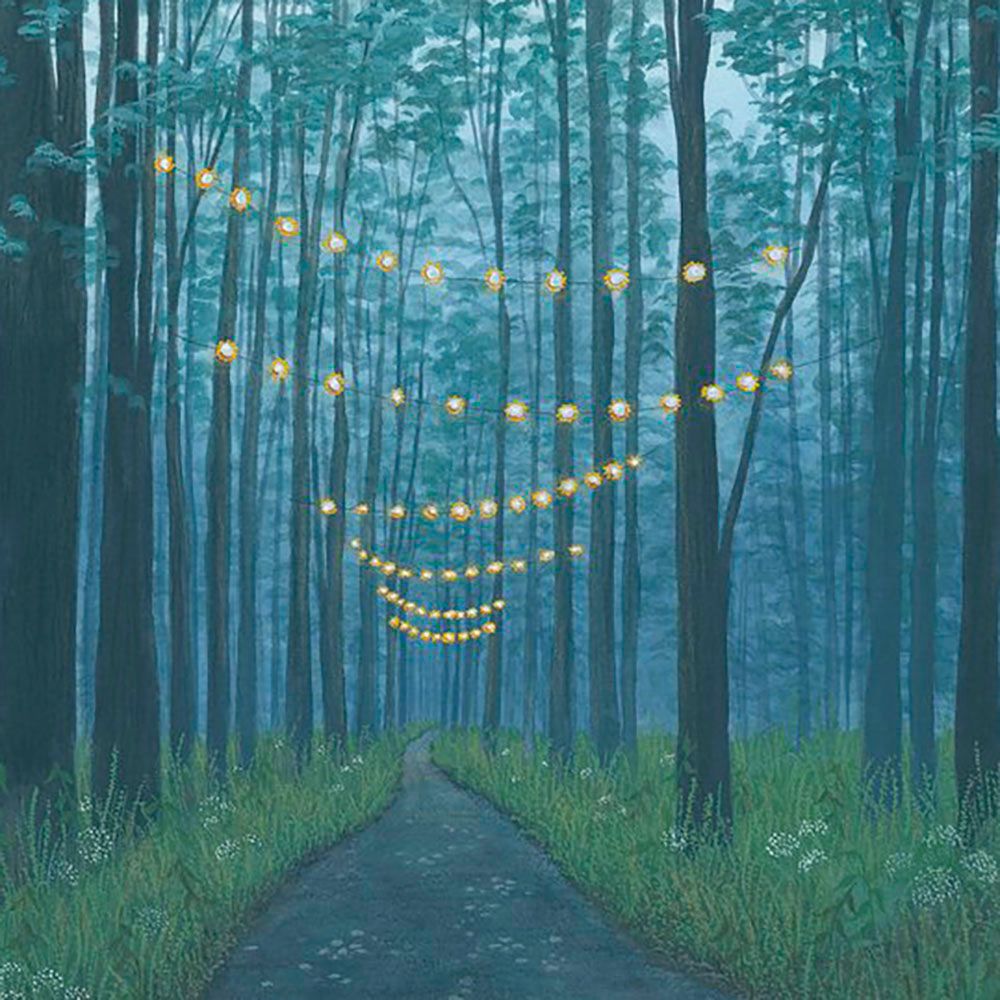 I sincerely hope you’re coming (lit path), print SUNH088