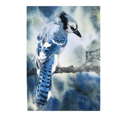 Blue Jay Portrait (C59), card KRUP69
