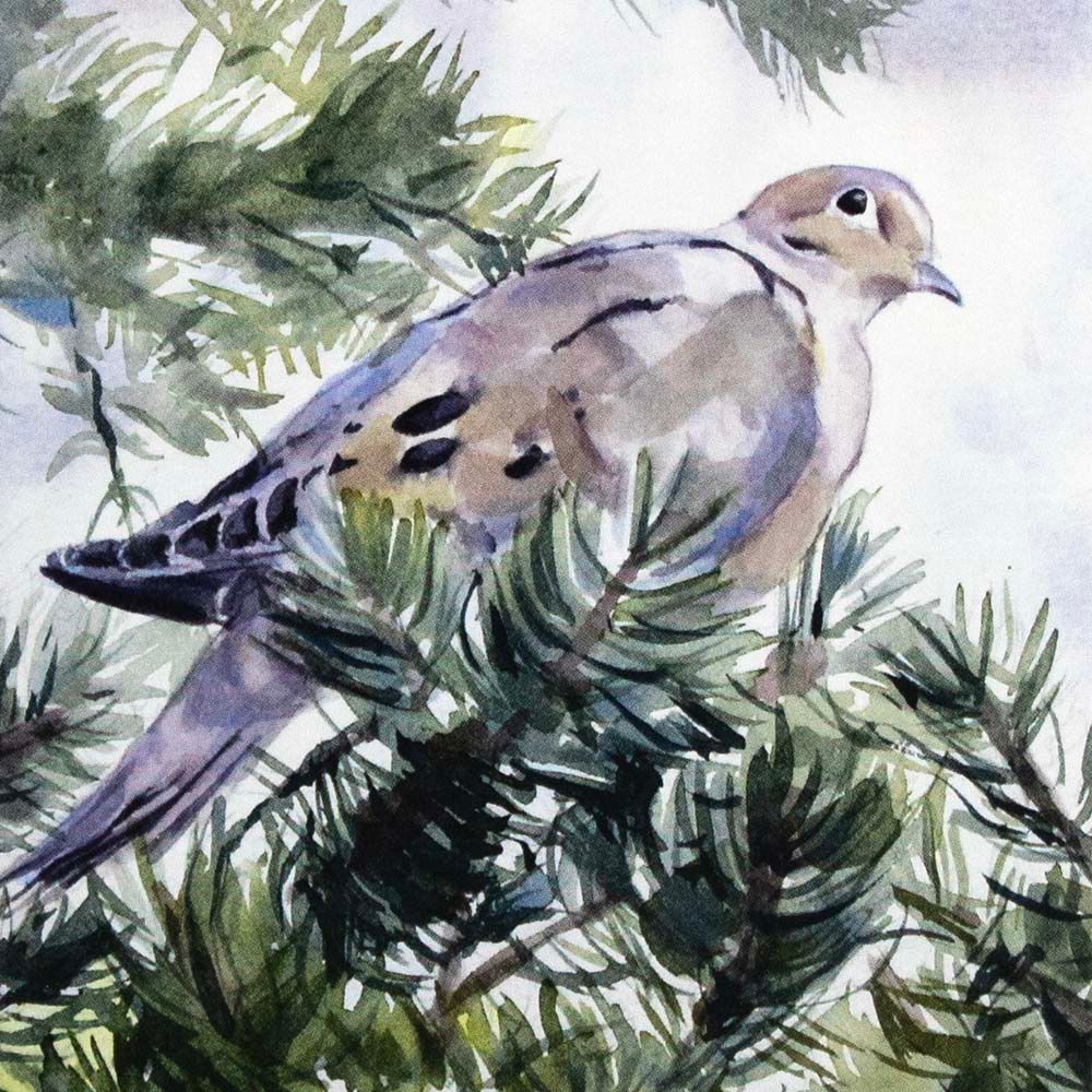 Dove in Pine (C61), card KRUP71