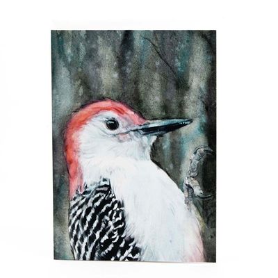 Red Bellied Woodpecker Portrait (C60), card KRUP70