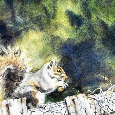 Squirrel on the Garden Fence (C62), card KRUP72