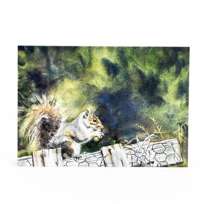 Squirrel on the Garden Fence (C62), card KRUP72