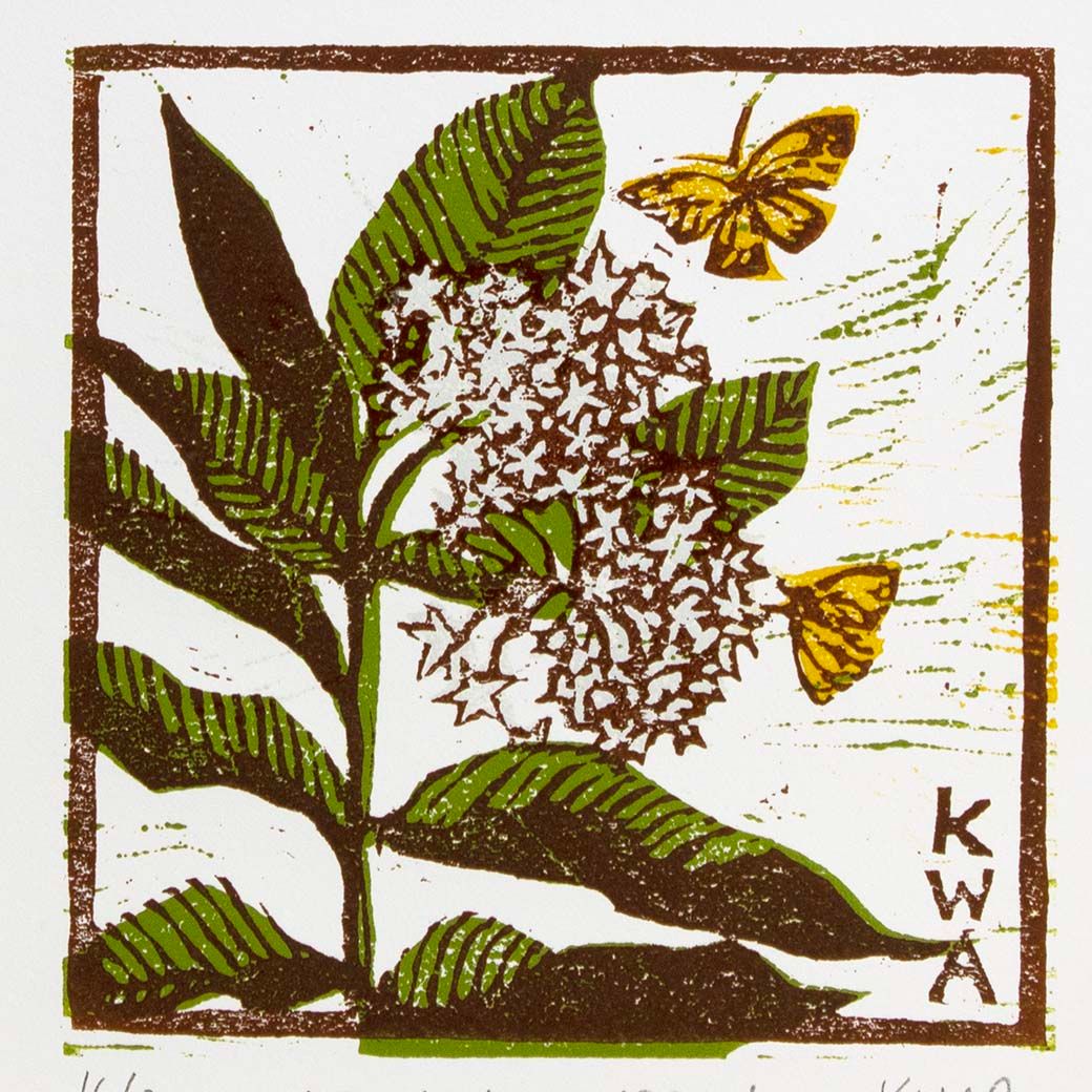 Tiny Milkweed, woodcut print ARMK047