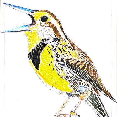 Meadowlark, print with mat BARC244