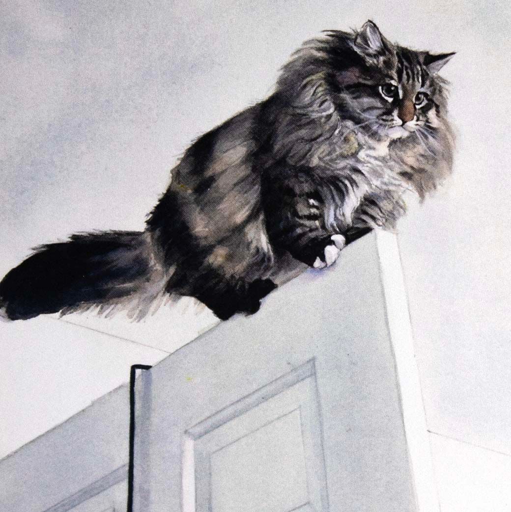 Jerry Dreams of the Ceiling (C56), card KRUP66