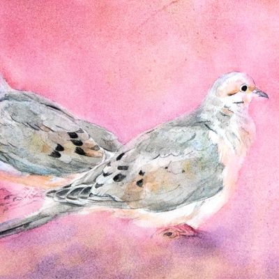 February Mourning Doves (C34), card KRUP63