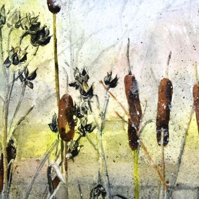 Winter Cattails (C64), card KRUP74