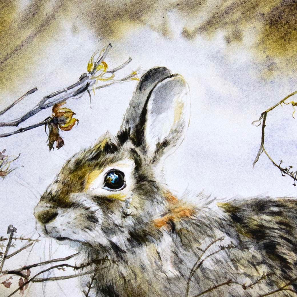 Cotton Tail in Autumn, card (C41) KRUP52