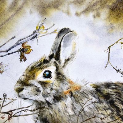 Cotton Tail in Autumn, card (C41) KRUP52