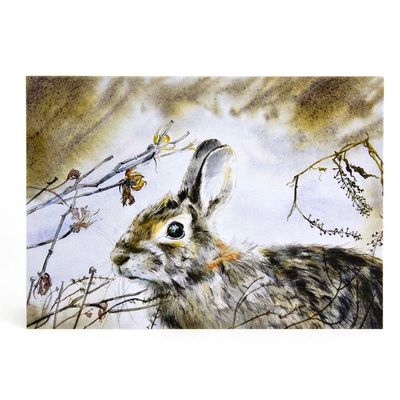 Cotton Tail in Autumn, card (C41) KRUP52