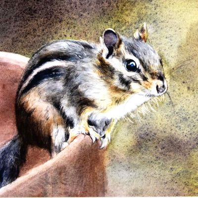 Chipmunk Portrait, card (C43) KRUP50