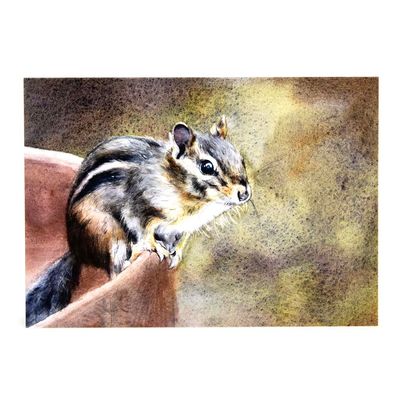 Chipmunk Portrait, card (C46) KRUP50
