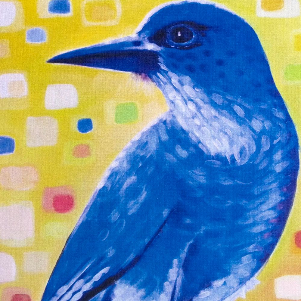 Mexican Jay, card BARC230