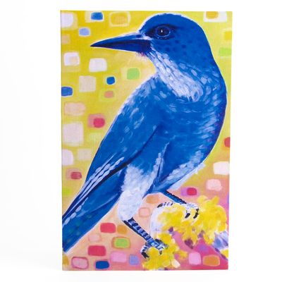 Mexican Jay, card BARC230