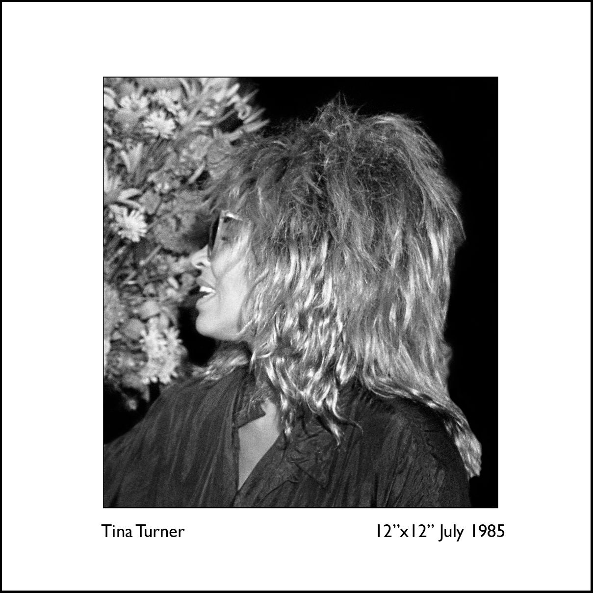 Tina Turner, framed photograph