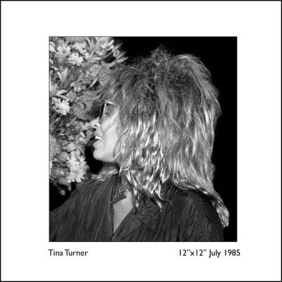 Tina Turner, framed photograph