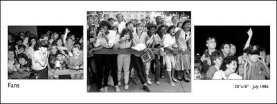 Fans, framed photograph
