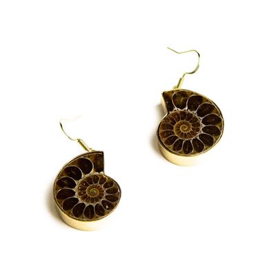 Shell in Gold, earrings RILM111